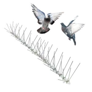 bird-x stainless steel bird spikes, 8-inch extra-wide spikes, bird spikes for pigeons and other small birds, easy to install, contains 2 ft. strips, covers 100 linear feet area, ews-100