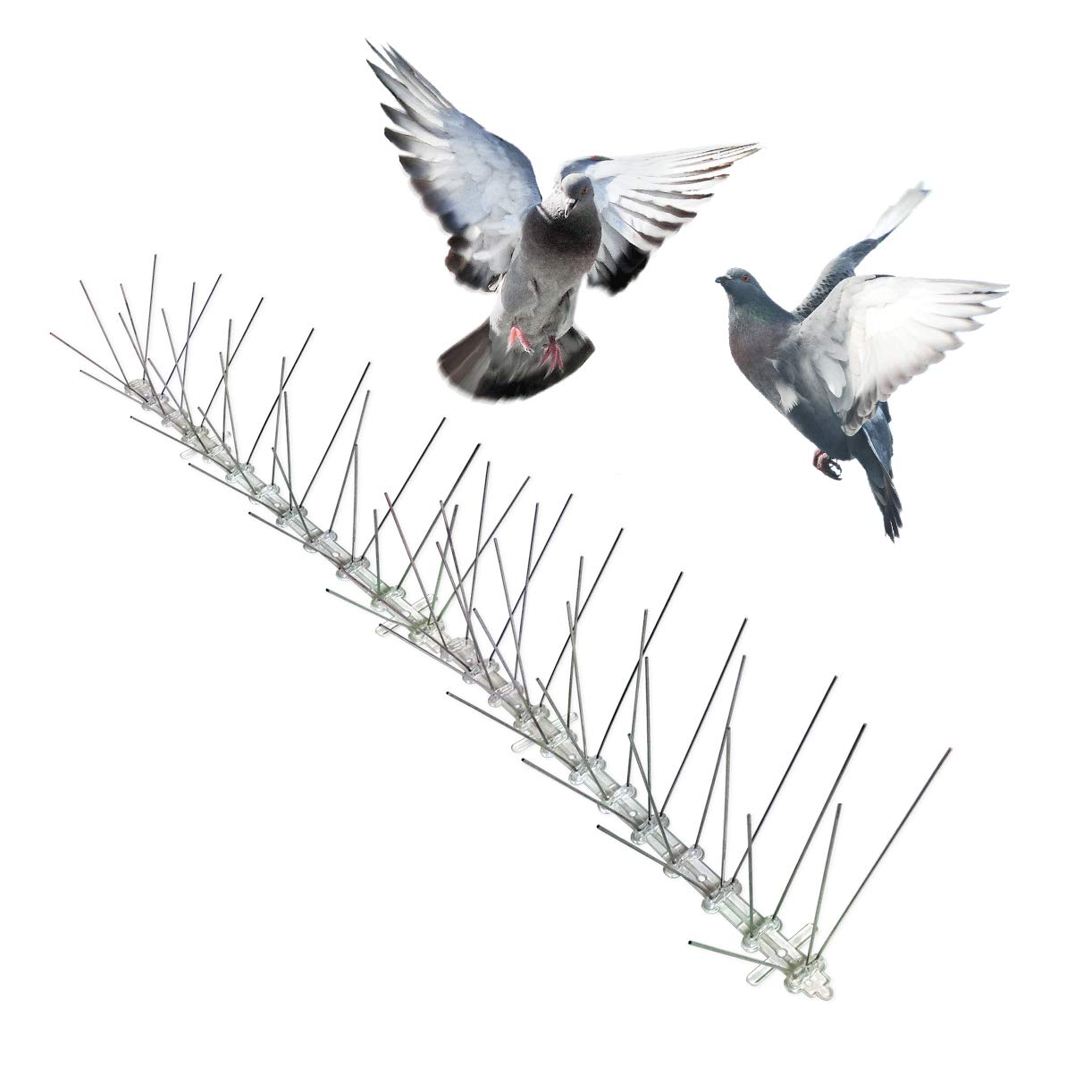 Bird-X Stainless Steel Bird Spikes, 8-inch Extra-Wide Spikes, Bird Spikes for Pigeons and Other Small Birds, Easy to Install, Contains 2 ft. Strips, Covers 100 Linear Feet Area, EWS-100