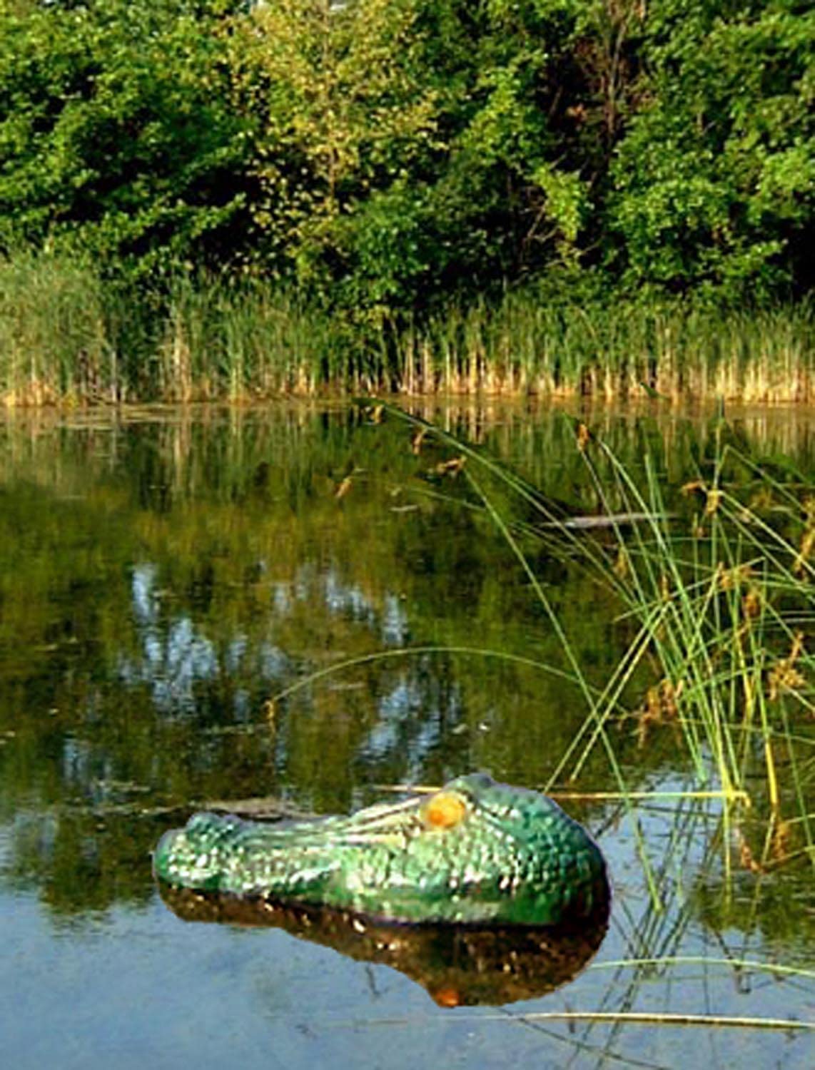 Bird-X Gator Guard® Floating Alligator Head Bird Scare with Reflective Eyes