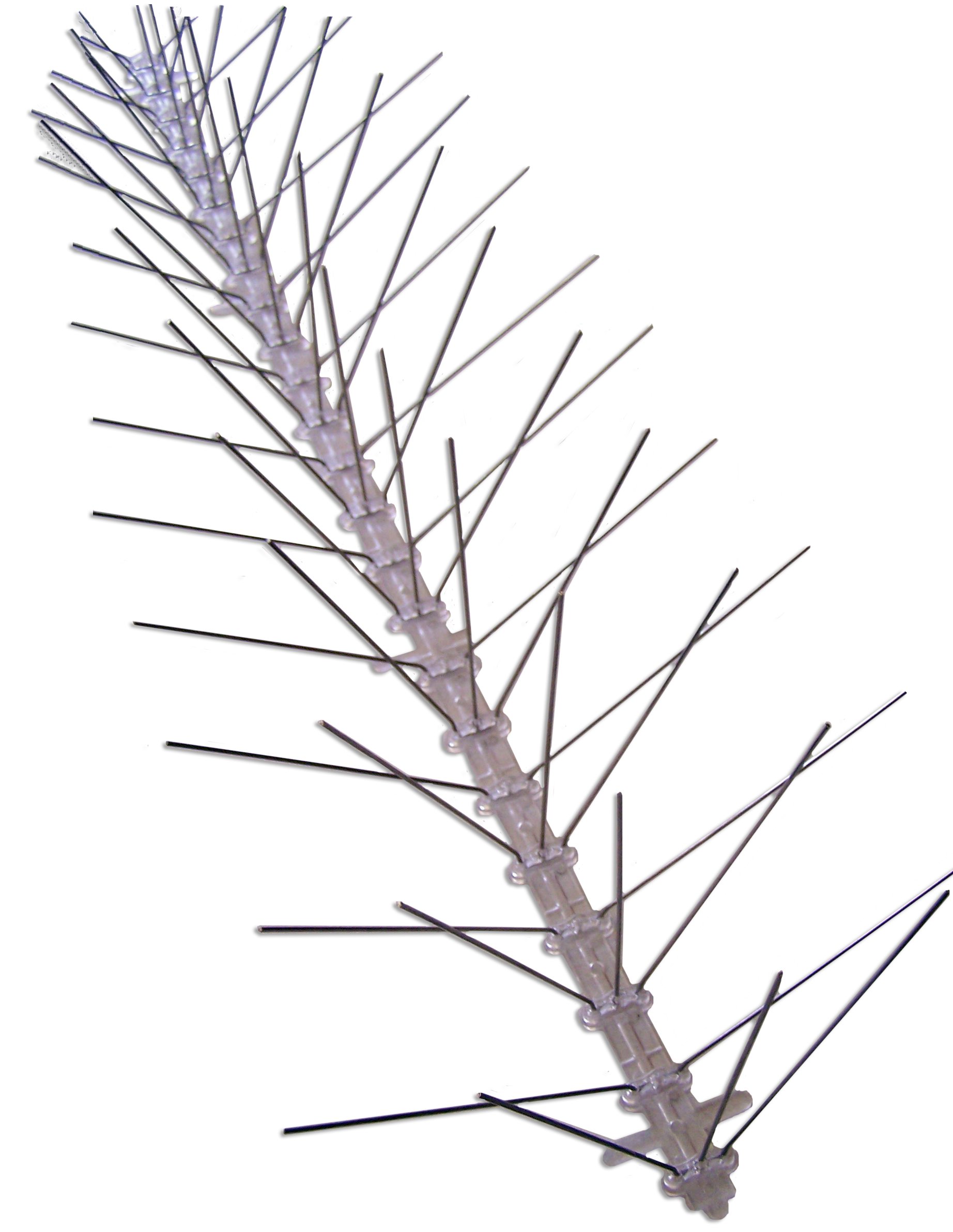 Bird-X Stainless Steel Bird Spikes, 8-inch Extra-Wide Spikes, Bird Spikes for Pigeons and Other Small Birds, Easy to Install, Contains 2 ft. Strips, Covers 100 Linear Feet Area, EWS-100