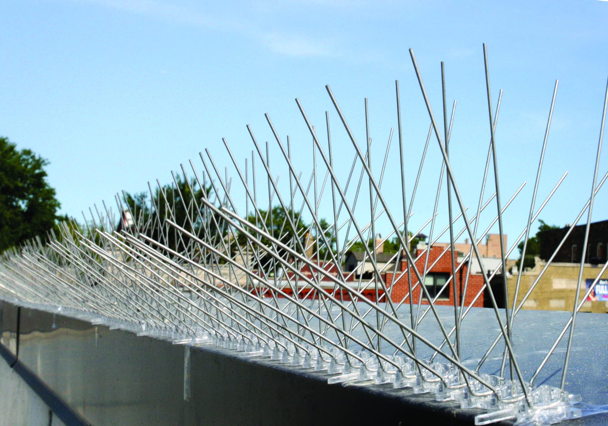 Bird-X Stainless Steel Bird Spikes, 8-inch Extra-Wide Spikes, Bird Spikes for Pigeons and Other Small Birds, Easy to Install, Contains 2 ft. Strips, Covers 100 Linear Feet Area, EWS-100