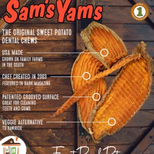 Sam's Yams Sweet Potato Dog Chewz, All Natural Made in USA Sweet Potato Dog Treats - Dried and Chewy - Perfect for Small, Medium, and Large Dogs - Healthy Dog Supplement Treats, 5 oz Single Pack