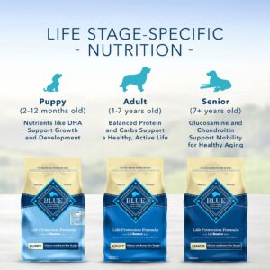 Blue Buffalo Life Protection Formula Natural Senior Dry Dog Food, Chicken and Brown Rice 6-lb