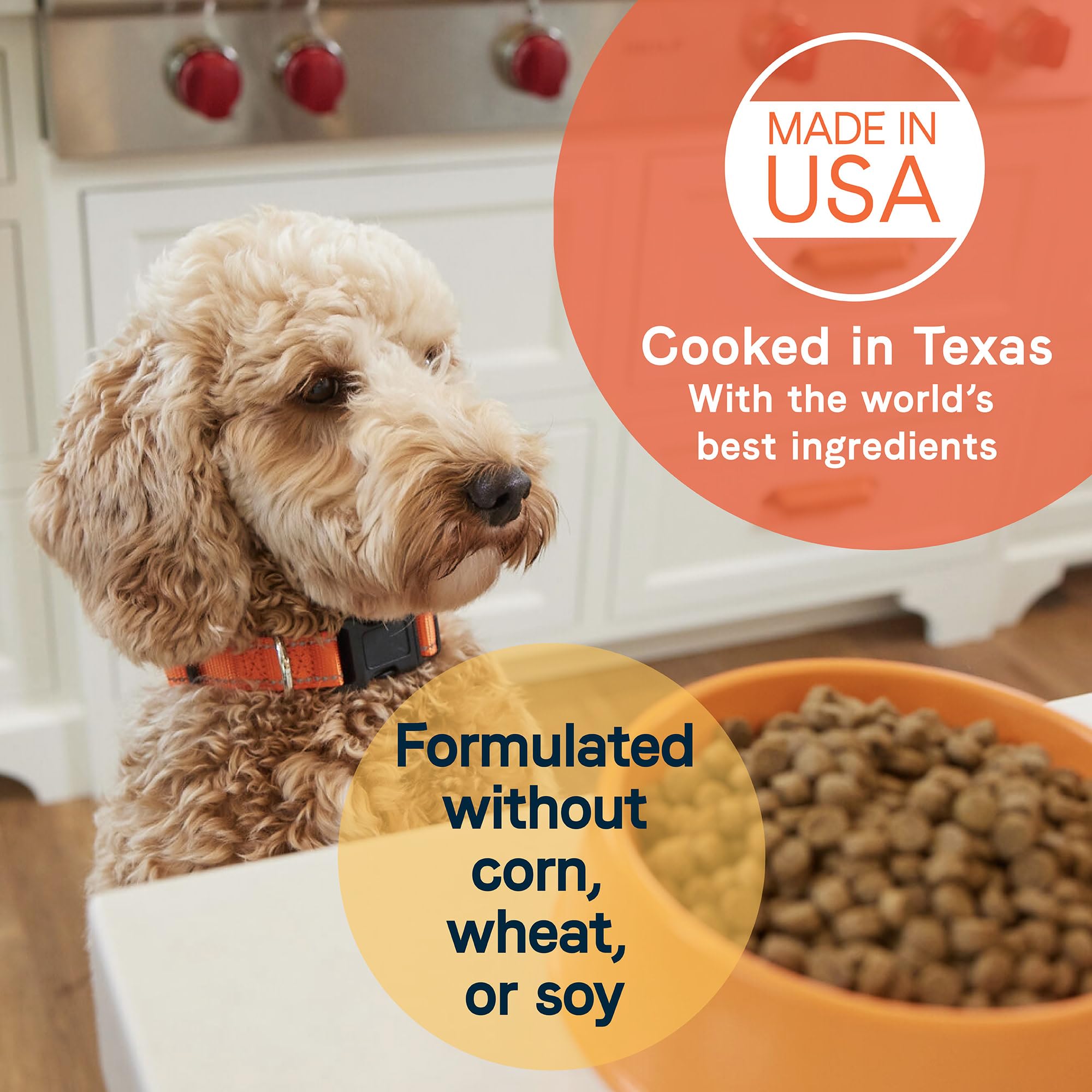 Canidae All Life Stages Dry Dog Food, Less Active Formula with Chicken, Turkey & Lamb, 5 lbs.