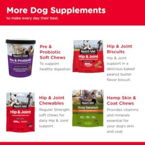 Nutri-Vet Hip & Joint Chewable Dog Supplements - Formulated with Glucosamine & Chondroitin for Dogs - 75 Count