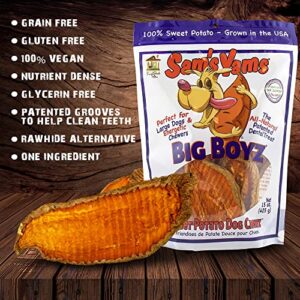 Sams Yams Sweet Potato Dog Treats, Healthy Dog Treats for Large Dogs - Sweet Potato Dog Treats Made in USA, High Fiber, Vegan Dental Chews - Big Boyz, Sweet Potato Dog Chewz, 15oz (Single Pack)