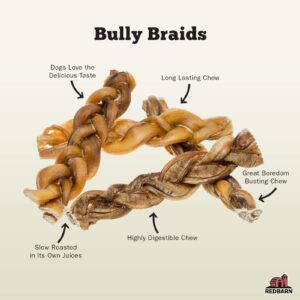 Redbarn 9" Braided Bully Sticks for Dogs. Natural, Grain-Free, Highly Palatable, Long-Lasting Dental Chews Sourced from Free-Range, Grass-Fed Cattle (1 Stick)