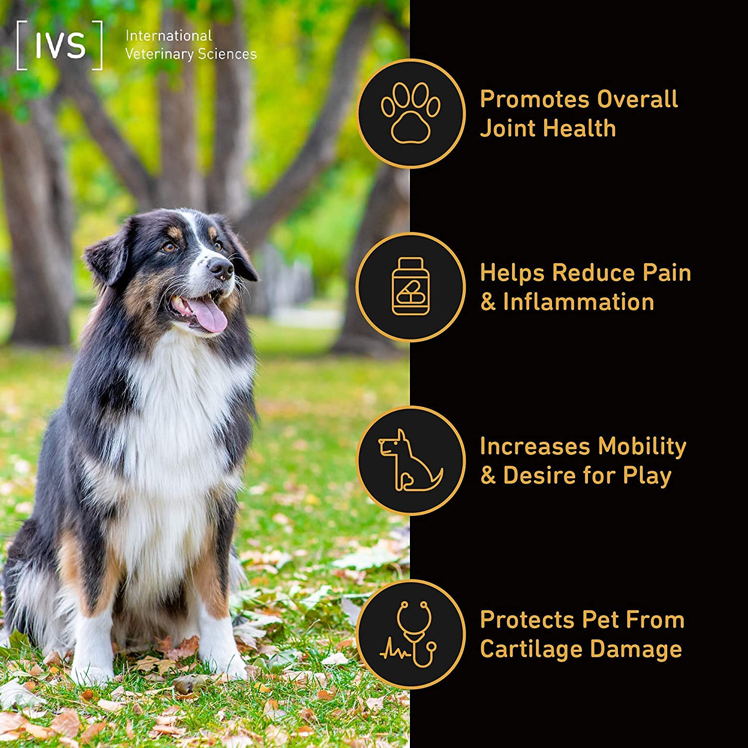 International Veterinary Sciences IVS Arthramine MAX Healthy Joints Glucosamine Supplement for Dogs with Fish Oil, Hyaluronic Acid, MSM, and Vitamin C, Made in the USA, 60 Count