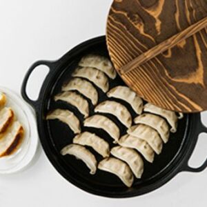 Oigen Nambu Ironware Sukiyaki & Dumplings Iron Pan Ca-4 26cm Japan Import :972