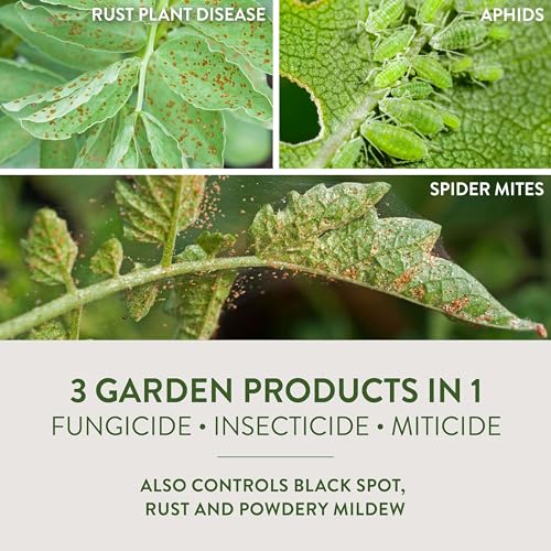 Garden Safe Brand Fungicide Concentrate, 20 Ounces, With Neem Oil Extract To Control Black Spot, Rust, Powdery Mildew, Aphids, Spider Mites, Whiteflies ,Houseplants, Fruits And Vegetables