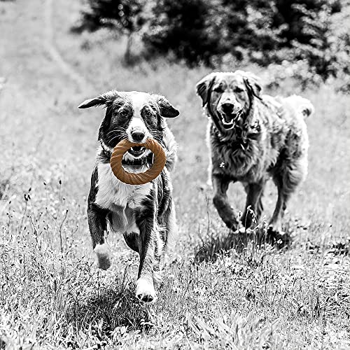 Pet Qwerks Chew Ring BarkBone - Durable Dog Toys for Moderate & Aggressive Chewers - Peanut Butter Flavor - 5.75"