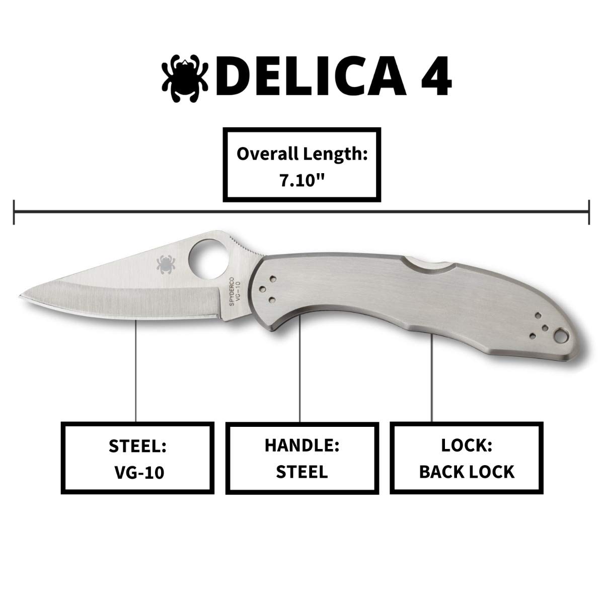 Spyderco Delica 4 Signature Knife with 2.95" Saber-Ground VG-10 Steel Blade and Durable Stainless Steel Handle - PlainEdge - C11P