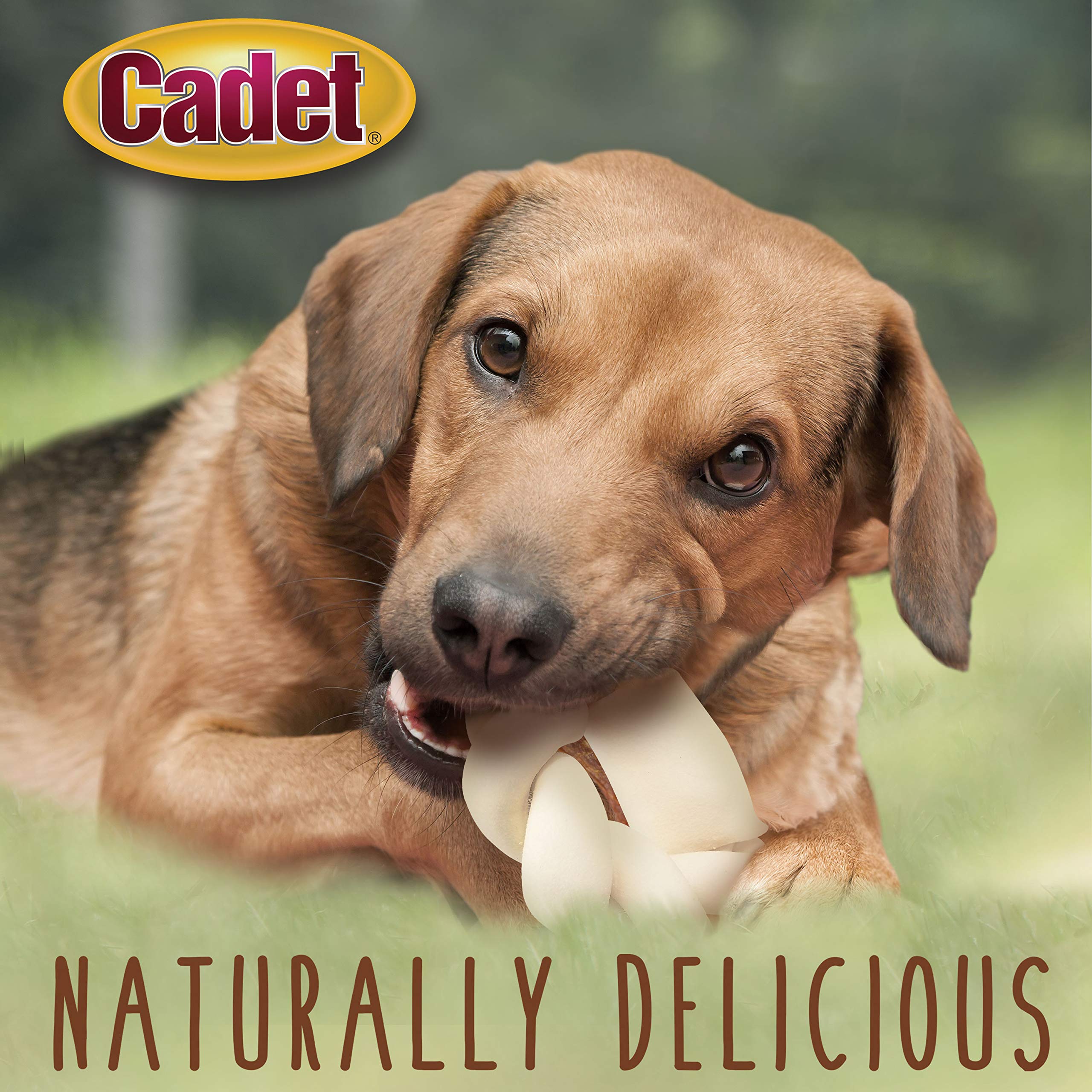 Cadet Premium Grade Beef Hide for Dogs, Long Lasting Rawhide Donut Bone, Single Ingredient Dog Chews, 5 Inch (1 Count)