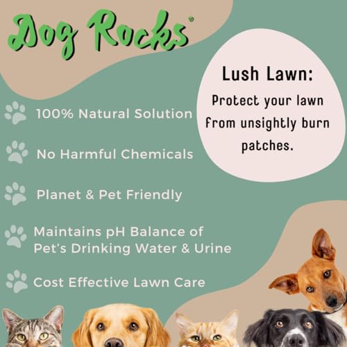 Dog Rocks Dog Pee Grass Neutralizer for Green Grass in 3-5 Weeks | Dog Grass Saver Rock | 100% Natural Urine Neutralizer for Lawn | 200 grams