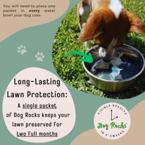 Dog Rocks Dog Pee Grass Neutralizer for Green Grass in 3-5 Weeks | Dog Grass Saver Rock | 100% Natural Urine Neutralizer for Lawn | 200 grams