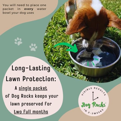 Dog Rocks Dog Pee Grass Neutralizer for Green Grass in 3-5 Weeks | Dog Grass Saver Rock | 100% Natural Urine Neutralizer for Lawn | 200 grams