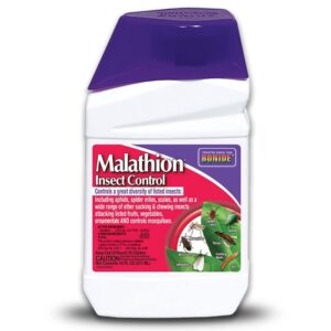 bonide malathion insect control, 16 oz ready-to-mix concentrate bug & spider mite killer for outdoor garden use