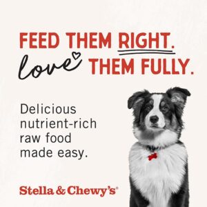 Stella & Chewy's Freeze Dried Raw Chewy’s Chicken Meal Mixers – Dog Food Topper for Small & Large Breeds – Grain Free, Protein Rich Recipe – 3.5 oz Bag