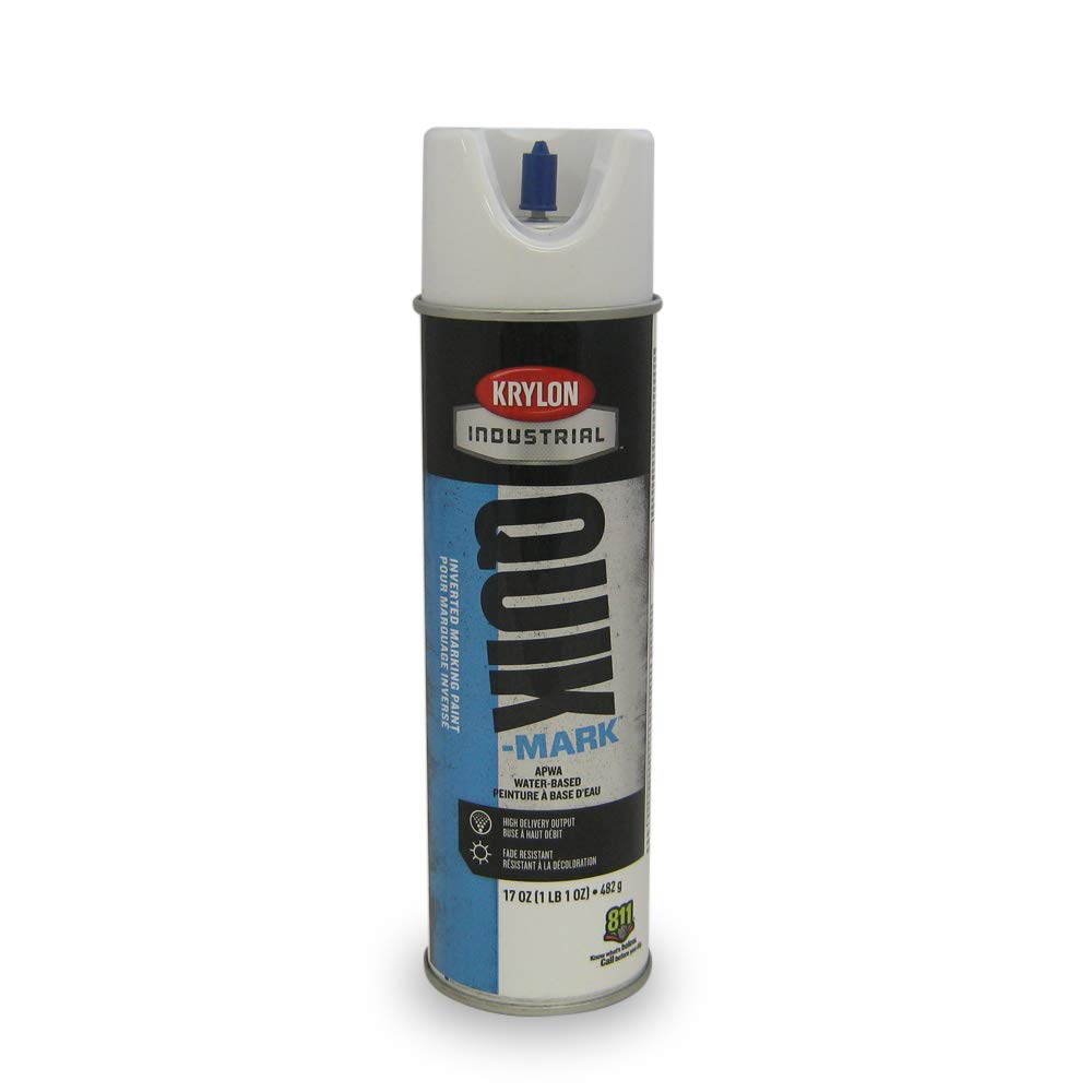 Krylon Inverted Marking Paint White 12/BX #S03901