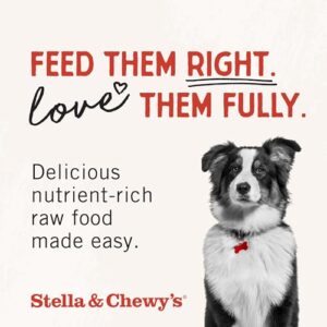 Stella & Chewy's Freeze Dried Raw Dinner Patties – Grain Free Dog Food, Protein Rich Chewy’s Chicken Recipe – 5.5 oz Bag