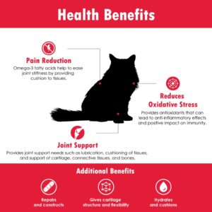 Joint MAX Liquid for Cats - Vitamins, Minerals, Antioxidants - Glucosamine, Chondroitin - Supports Joints and Cartilage Health, Chicken Flavor - Veterinarian Formulated - 24 fl oz