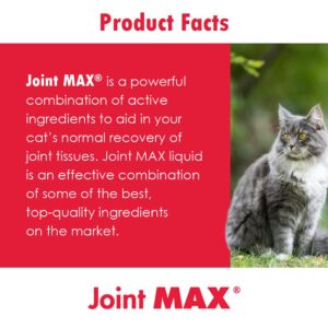 Joint MAX Liquid for Cats - Vitamins, Minerals, Antioxidants - Glucosamine, Chondroitin - Supports Joints and Cartilage Health, Chicken Flavor - Veterinarian Formulated - 24 fl oz