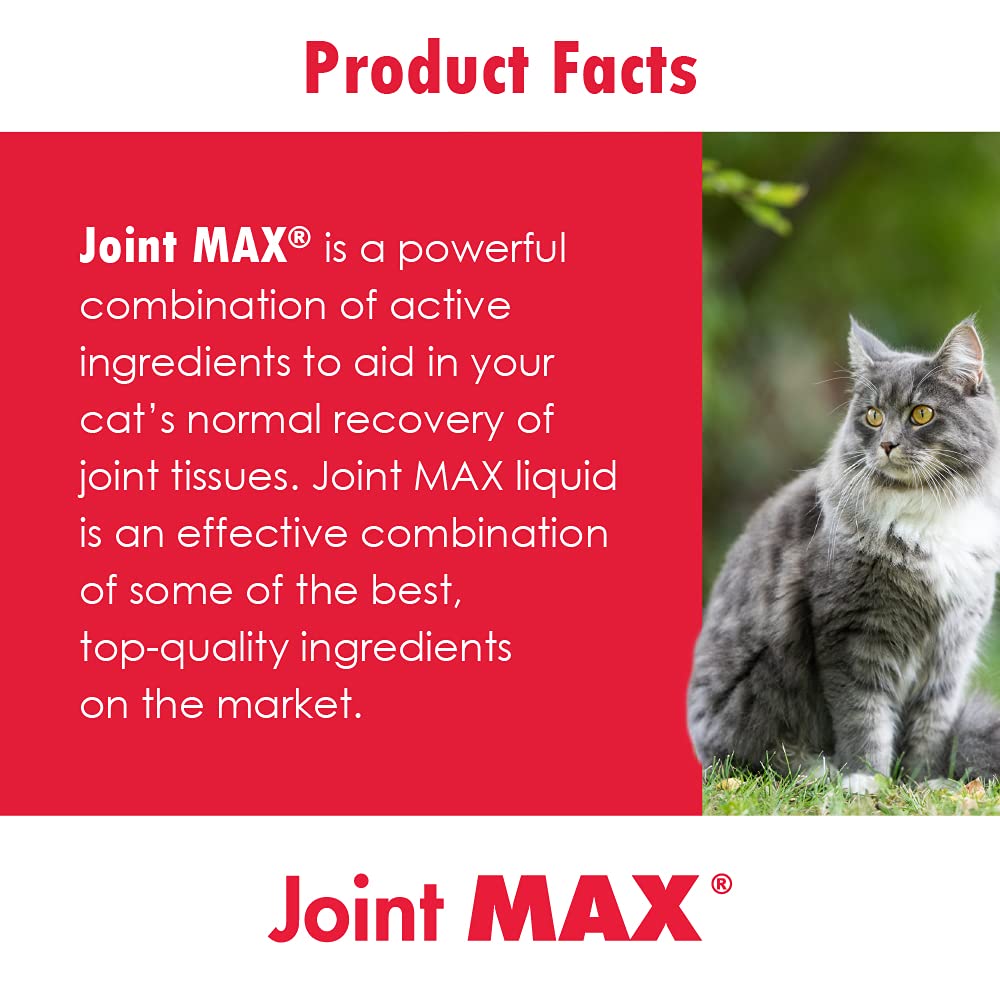 Joint MAX Liquid for Cats - Vitamins, Minerals, Antioxidants - Glucosamine, Chondroitin - Supports Joints and Cartilage Health, Chicken Flavor - Veterinarian Formulated - 24 fl oz