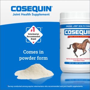 Nutramax Cosequin Original Joint Health Supplement for Horses - Powder with Glucosamine and Chondroitin, 280 Grams