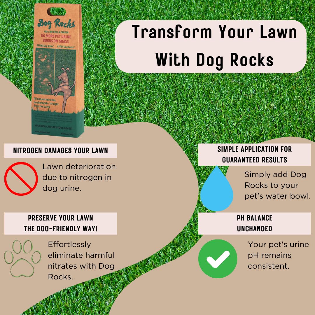 Dog Rocks Dog Pee Grass Neutralizer for Green Grass in 3-5 Weeks | Dog Grass Saver Rock | 100% Natural Urine Neutralizer for Lawn | 200 grams