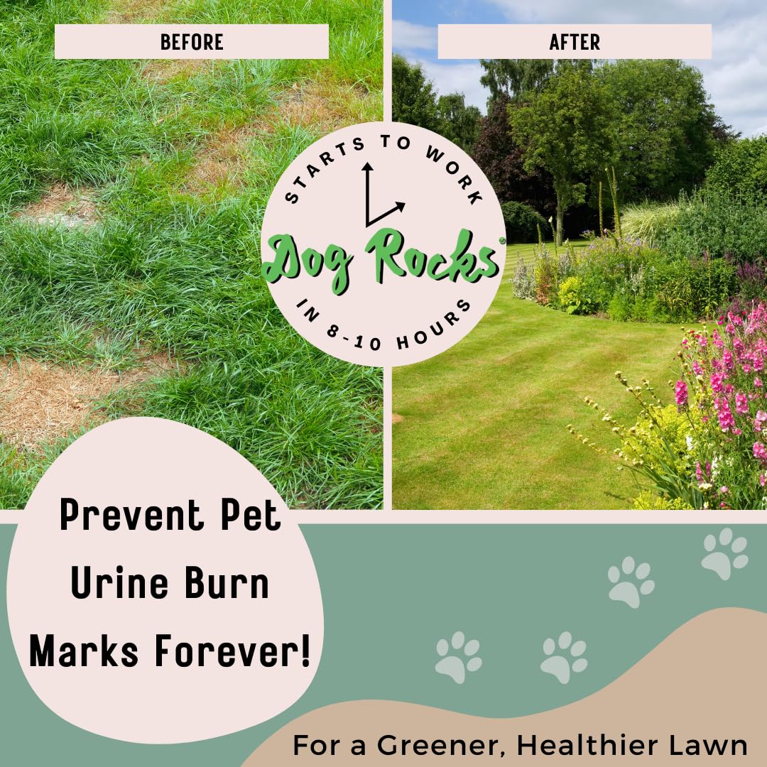 Dog Rocks Dog Pee Grass Neutralizer for Green Grass in 3-5 Weeks | Dog Grass Saver Rock | 100% Natural Urine Neutralizer for Lawn | 200 grams