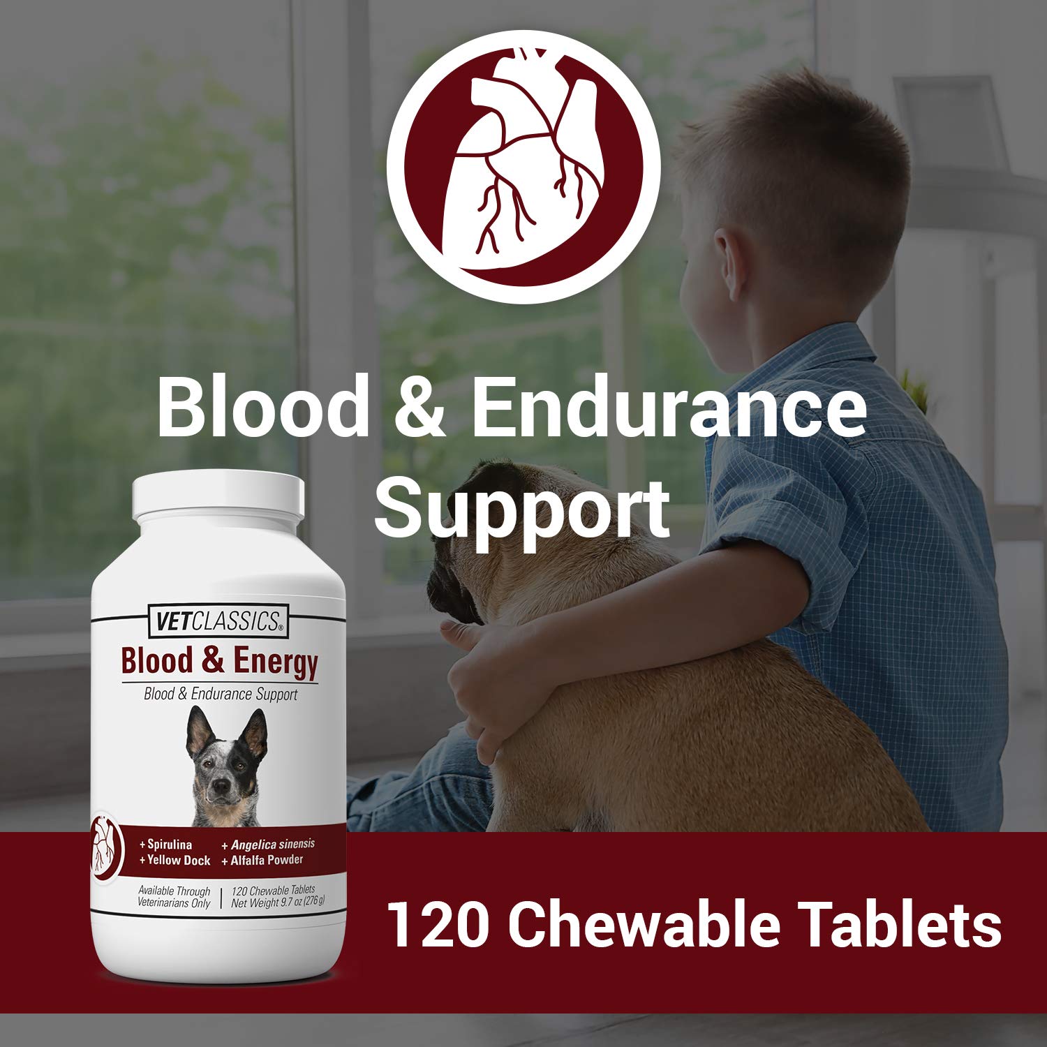 Vet Classics Blood & Energy Support for Dogs, Supports Endurance with Spirulina, Yellow Dock, & Alfalfa Support Formation of Hemoglobin and Myoglobin, 120 Chewable Tablets