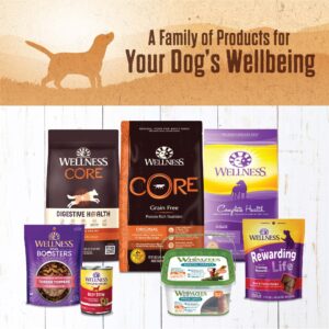 Wellness Natural Pet Food 95% Beef Natural Wet Grain Free Canned Dog Food, 13.2-Ounce Can (Pack of 12)