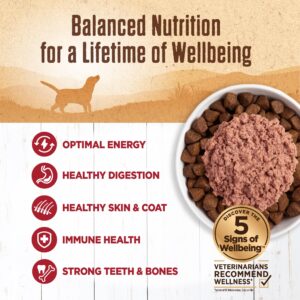 Wellness Natural Pet Food 95% Beef Natural Wet Grain Free Canned Dog Food, 13.2-Ounce Can (Pack of 12)