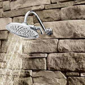 Moen S1311 Isabel Two-Function Showerhead with Immersion Technology at 2.5 GPM Flow Rate, 8-Inch, Chrome