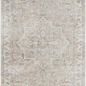 Nourison Astra Machine Washable Traditional Beige 2'2" x 4' Area -Rug, Easy -Cleaning, Non Shedding, Bed Room, Living Room, Dining Room, Kitchen (2x4)