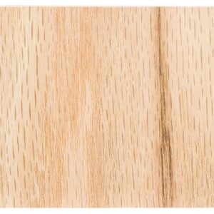 RUST-OLEUM 242217 Watco Gallon Natural Danish Oil Wood Finish