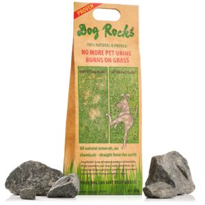 dog rocks dog pee grass neutralizer for green grass in 3-5 weeks | dog grass saver rock | 100% natural urine neutralizer for lawn | 200 grams