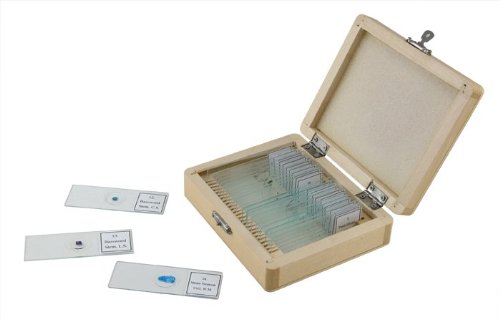 Celestron No.44410 Prepared Microscope Slides (25-Piece Set)