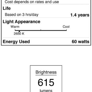 Westinghouse 4027 60-Watt, B10 Decorative Ceiling Fan Bulb, Candelabra Base, Clear, 2-Pack