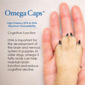 Omega-Caps HP Snip Tips for Cats & Smaller Dogs - Omega 3, EPA, DHA, Vitamins, Minerals, Antioxidants - Support Immune System, Joints, Heart, and Brain - 60 Capsules