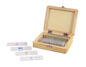 celestron no.44410 prepared microscope slides (25-piece set)