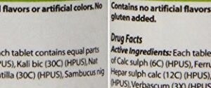 PetAlive Respiratory ComboPack for Pets - All Natural Homeopathic Remedies Relieve Symptoms of Blocked Sinuses, Colds, and Respiratory Irritation in Cats and Dogs