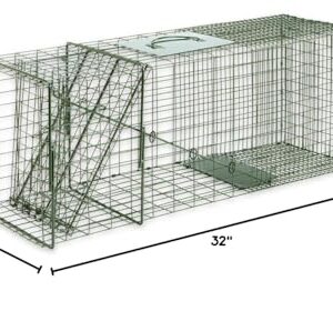 Duke Traps Raccoon Cage Trap