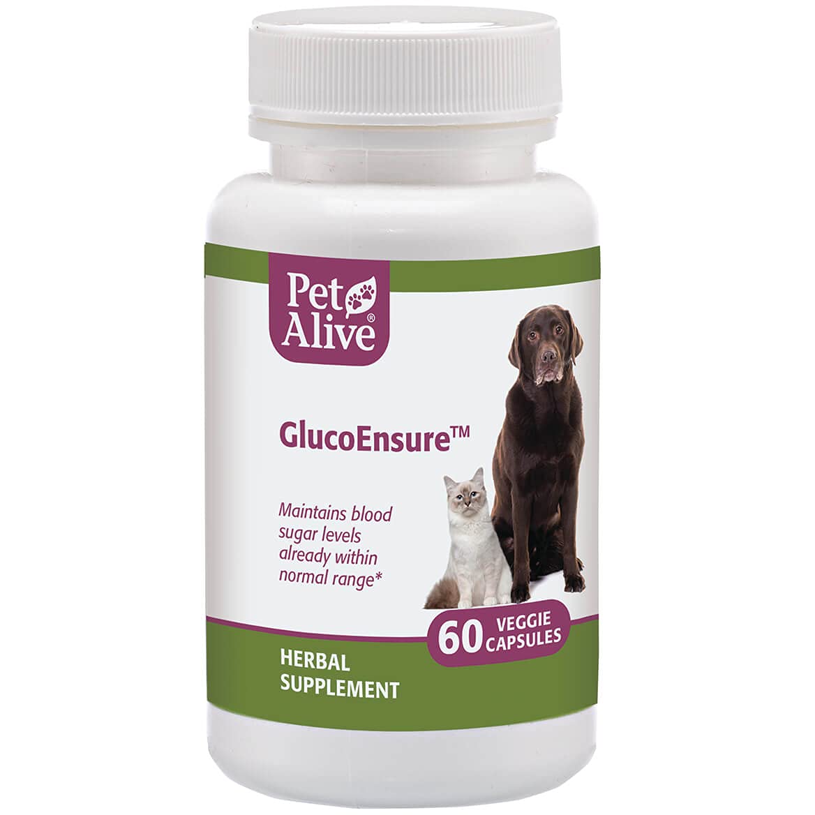 PetAlive GlucoEnsure - All Natural Herbal Supplement for Maintaining Blood Sugar (Glucose) Levels Already in The Normal Range in Pets