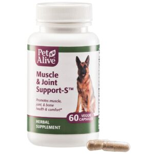 PetAlive Muscle & Joint Support-S for Bone and Joint Health and Comfort, 60 Caps