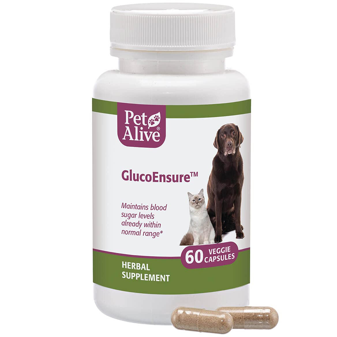 PetAlive GlucoEnsure - All Natural Herbal Supplement for Maintaining Blood Sugar (Glucose) Levels Already in The Normal Range in Pets