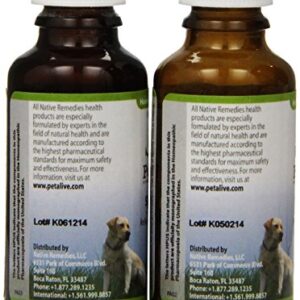 PetAlive Respiratory ComboPack for Pets - All Natural Homeopathic Remedies Relieve Symptoms of Blocked Sinuses, Colds, and Respiratory Irritation in Cats and Dogs