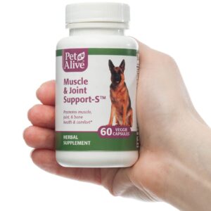 PetAlive Muscle & Joint Support-S for Bone and Joint Health and Comfort, 60 Caps