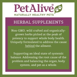 PetAlive GlucoEnsure - All Natural Herbal Supplement for Maintaining Blood Sugar (Glucose) Levels Already in The Normal Range in Pets