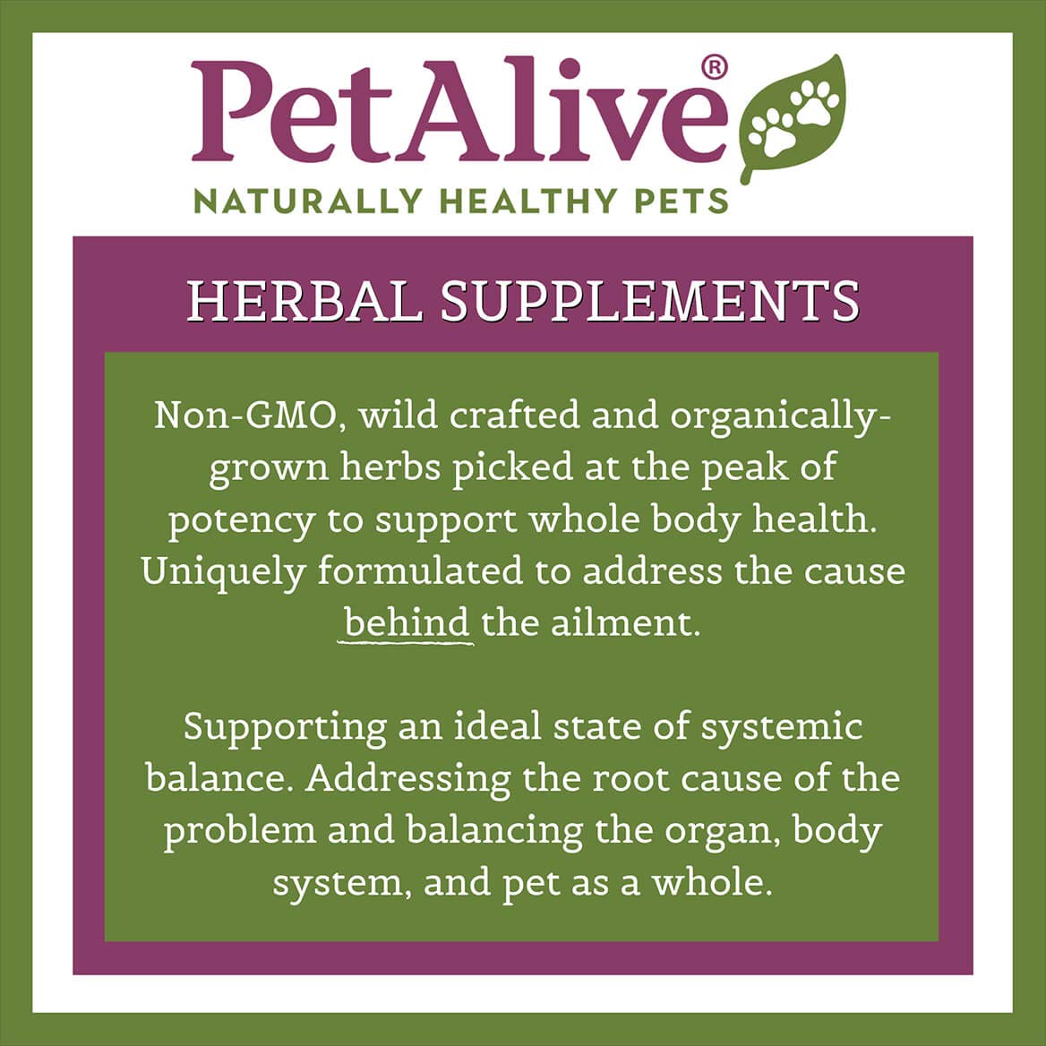 PetAlive GlucoEnsure - All Natural Herbal Supplement for Maintaining Blood Sugar (Glucose) Levels Already in The Normal Range in Pets